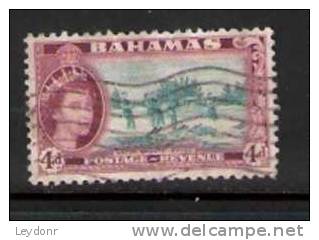 Bahamas - Water Skiing - Queen Elizabeth II - Scott # 163 - Bahama's (1973-...)