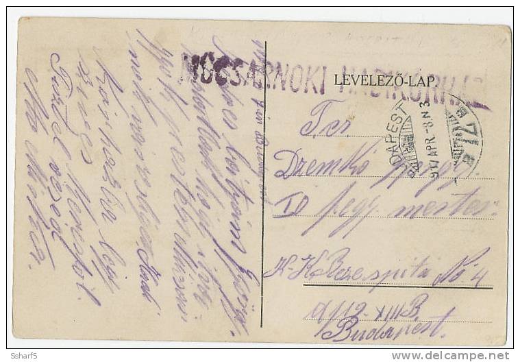 M&#369;csarnoki ... Budapest Violet One Line Postmark Or Censor On Redc Cross Postcard 1917 - Postmark Collection