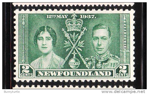 Newfoundland 1937 Coronation Issue Omnibus 2c MNH - 1908-1947