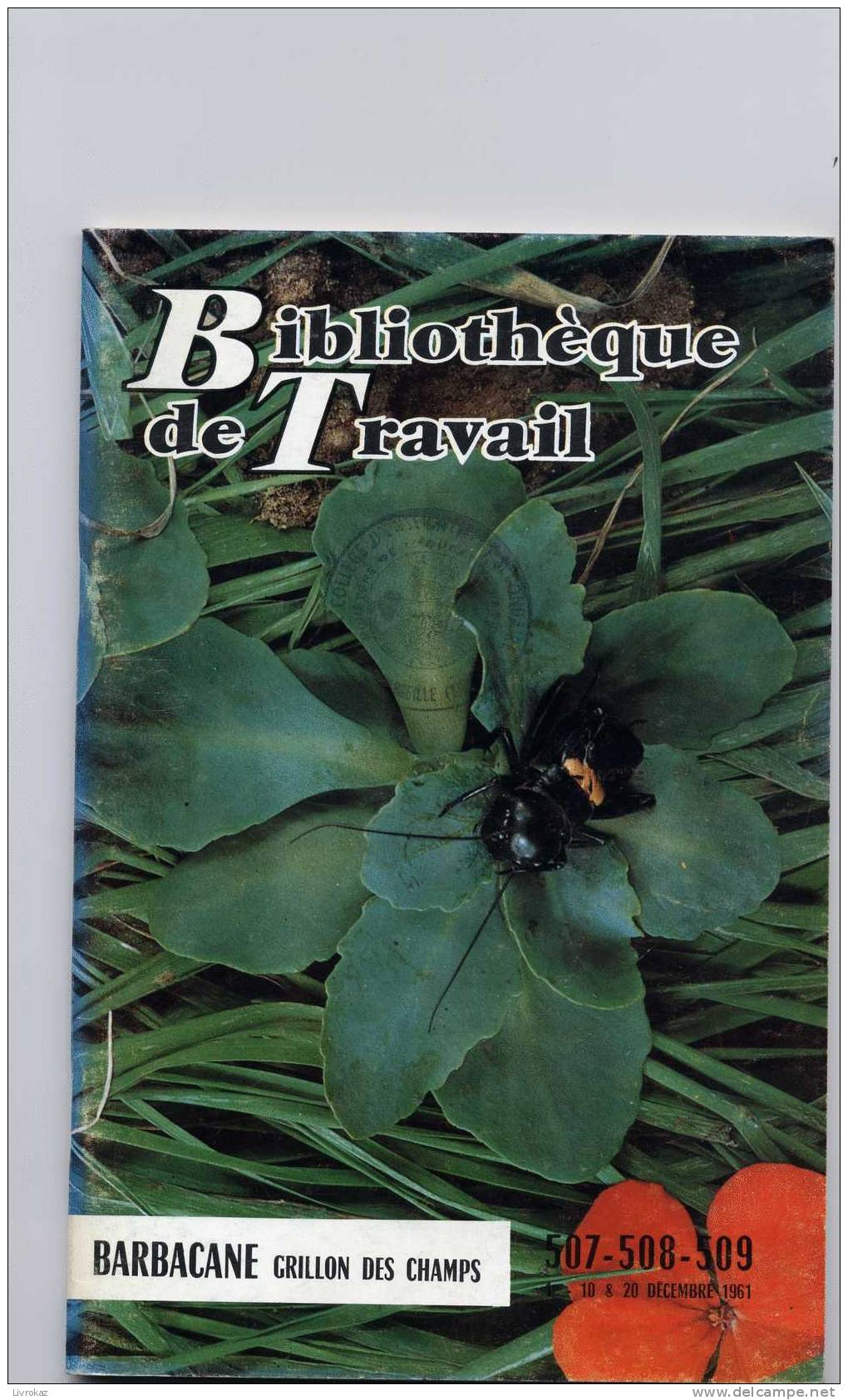 BT N°507/508/509 (1961) : Barbacane Grillon Des Champs. Bibliothèque De Travail. Freinet. 80 Pages, N° Triple - Science