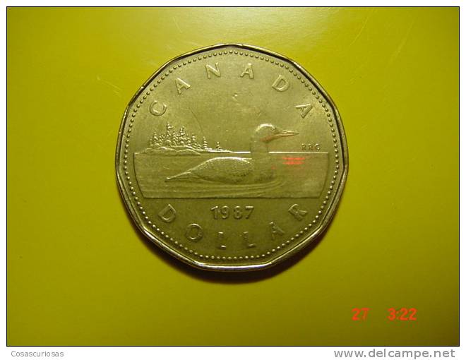 1864 CANADA  ONE DOLLAR  ANIMAL PATO   YEAR 1987  OTHERS IN MY STORE - Canada