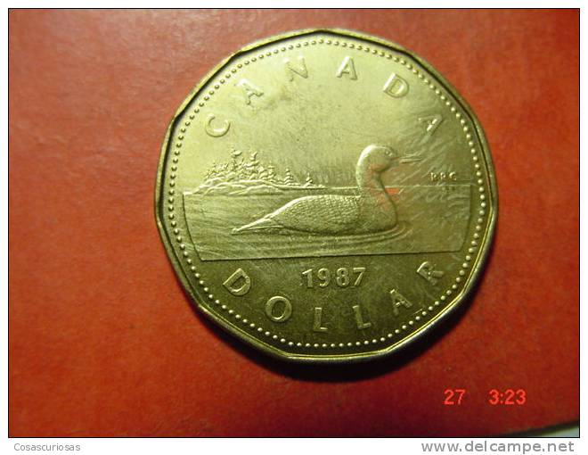 1866 CANADA  ONE DOLLAR  ANIMAL PATO   YEAR 1987  OTHERS IN MY STORE - Canada