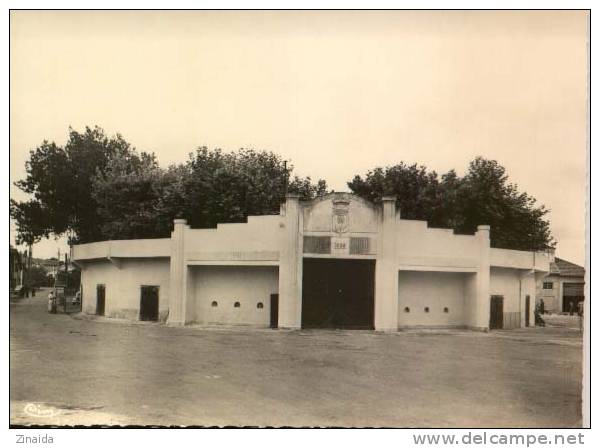 CARTE POSTALE DE NOGARO - LES ARENES - Nogaro