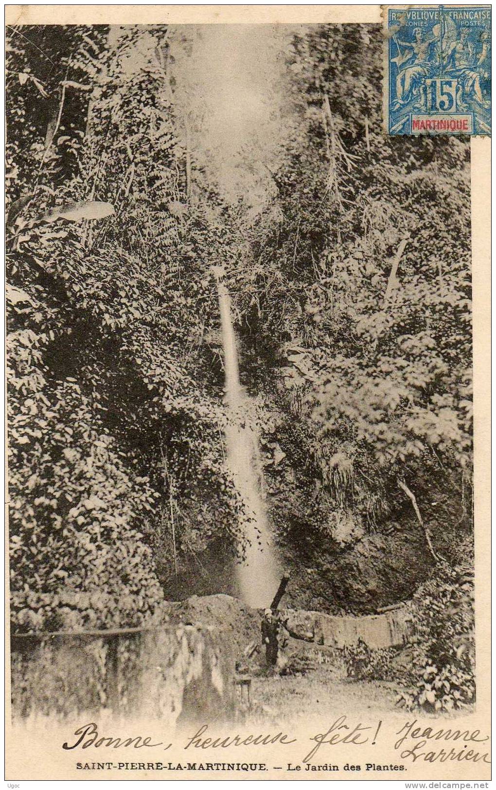 CPA - SAINT-PIERRE LA MARTINIQUE - Le Jardin Des Plantes - 362 - Sint-Marteen