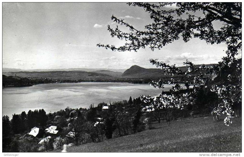 VEYRIER (vue Générale) - Veyrier