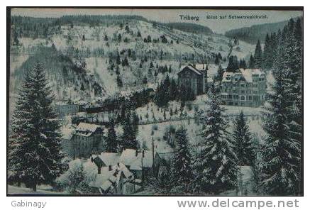 *GERMANY - T026 - TRIBERG - BLICK AUF SCHWARZWALDHOTEL - 1910 - Triberg