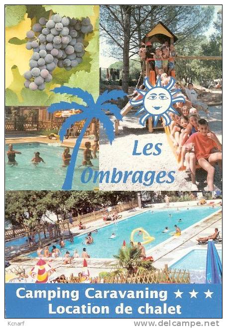 CP De VIDAUBAN " Les Ombrages - Camping Caravaning " . - Le Luc