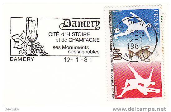 1981 France 51 Marne Damery  Salon Des Vins Champagne Vignobles Wine Festival Vineyard Wines Vini Enologia Vigneti - Vins & Alcools