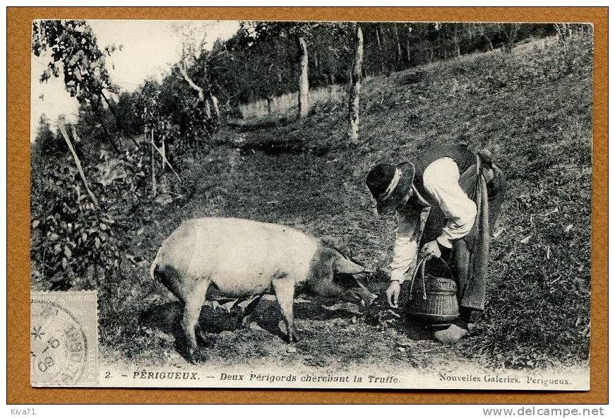 Collection CARTES D´AUTREFOIS " PERIGUEUX" 1900 - Aquitaine