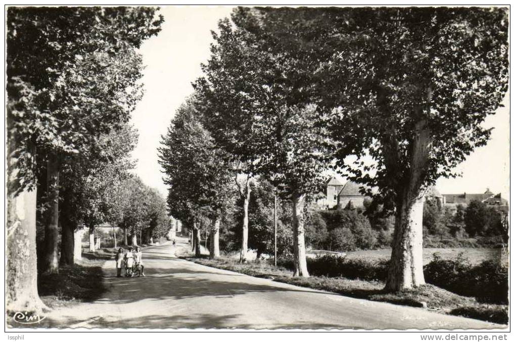 CPSM - Châteaumeillant (Cher) Route De La Chatre - Châteaumeillant