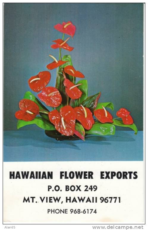 Mt. View Hawaii HI, Flower Export Advertisement On C1960s Vintage Postcard - Big Island Of Hawaii