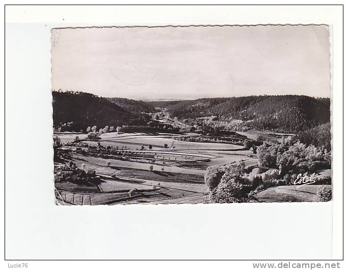 BRUYERES - Vue Sur L'Ecrevisse Et L'Etang De Monplaisir - N°  7958 - Bruyeres