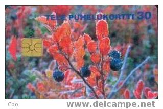 # FINLAND D110 Autumn 30 Orga 09.96 Tres Bon Etat - Finnland