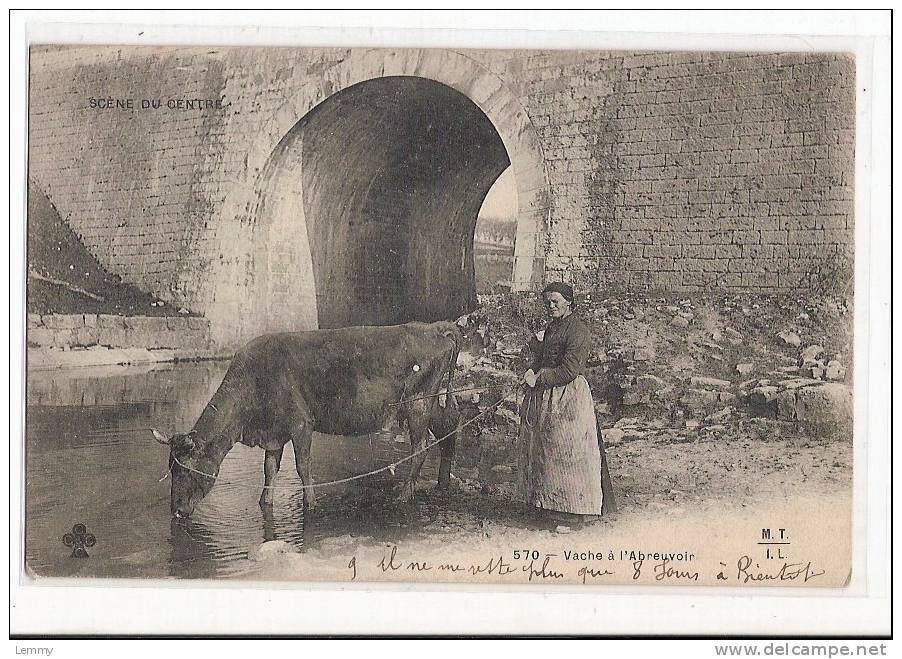 SCENE DU CENTRE - ELEVAGE - LA VACHE MENEE A L"ABREUVOIR - M. T. I. L. 570 - CPA ANTERIEURE A 1904 - Allevamenti