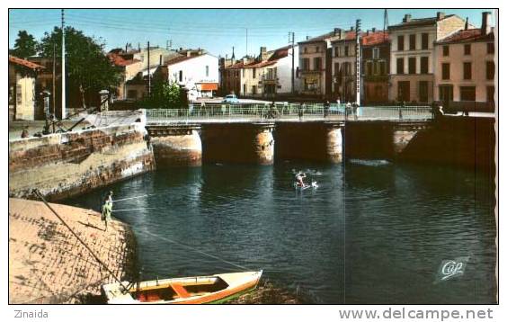 CARTE POSTALE DE SAUJON - LES BORDS DE LA SEUDRE ET LE PORT - Saujon