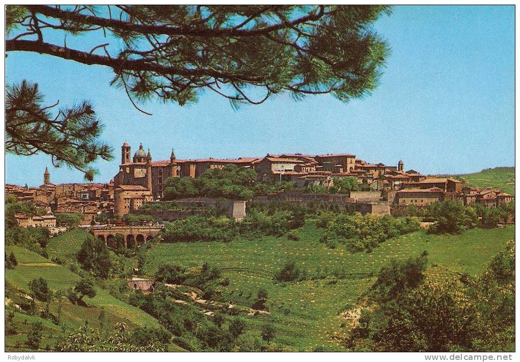 9711 - URBINO  - Cartolina Viaggiata - Urbino