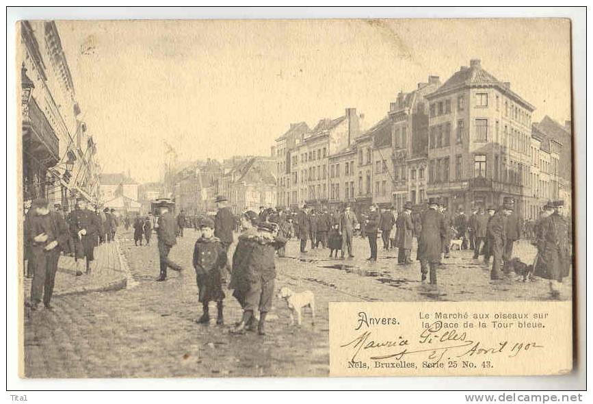 12574 - ANVERS - Le Marché Aux Oiseaux Sur La Place De La Tour Bleue " Nels Série 25 N° 43" - Geraardsbergen