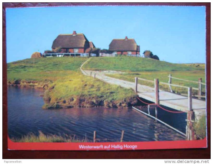 Hallig Hooge - Westerwarft - Halligen