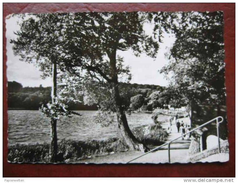 Malente Gremsmühlen - Diekseepromenade - Malente-Gremsmühlen