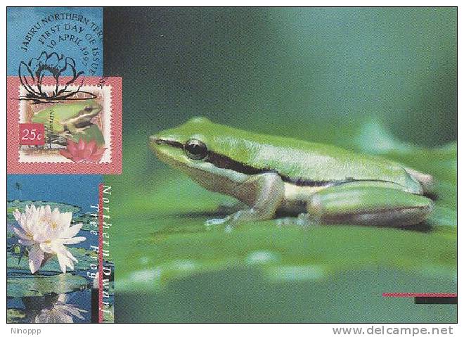 Australia-1997 Nature Of Australia Northern Dwarf Tree Frog Maximum Card - Frogs