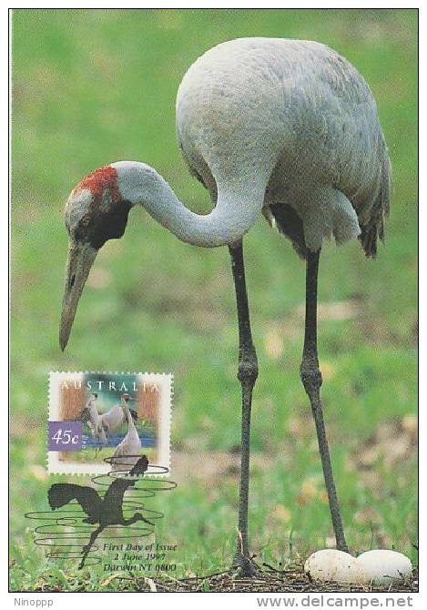 Australia-1997 Wetland Birds-Brolga  Maximum Card - Other & Unclassified