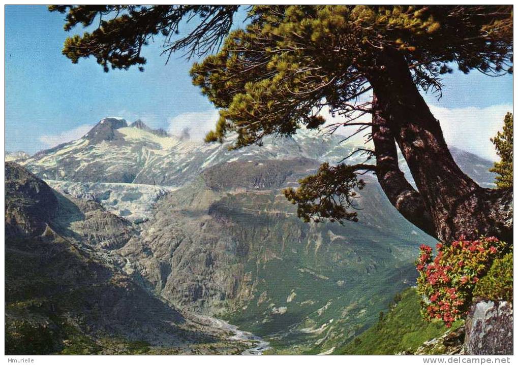 SUISSE-FURKAPASS MIT RHONEGLETSCHER UND GALENS-MB - Lens