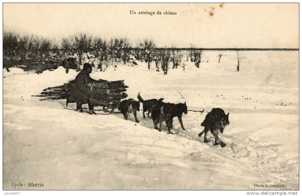 RUSSIE Attelage De Chiens De Traineau En Sibérie Beau Plan - Rusland