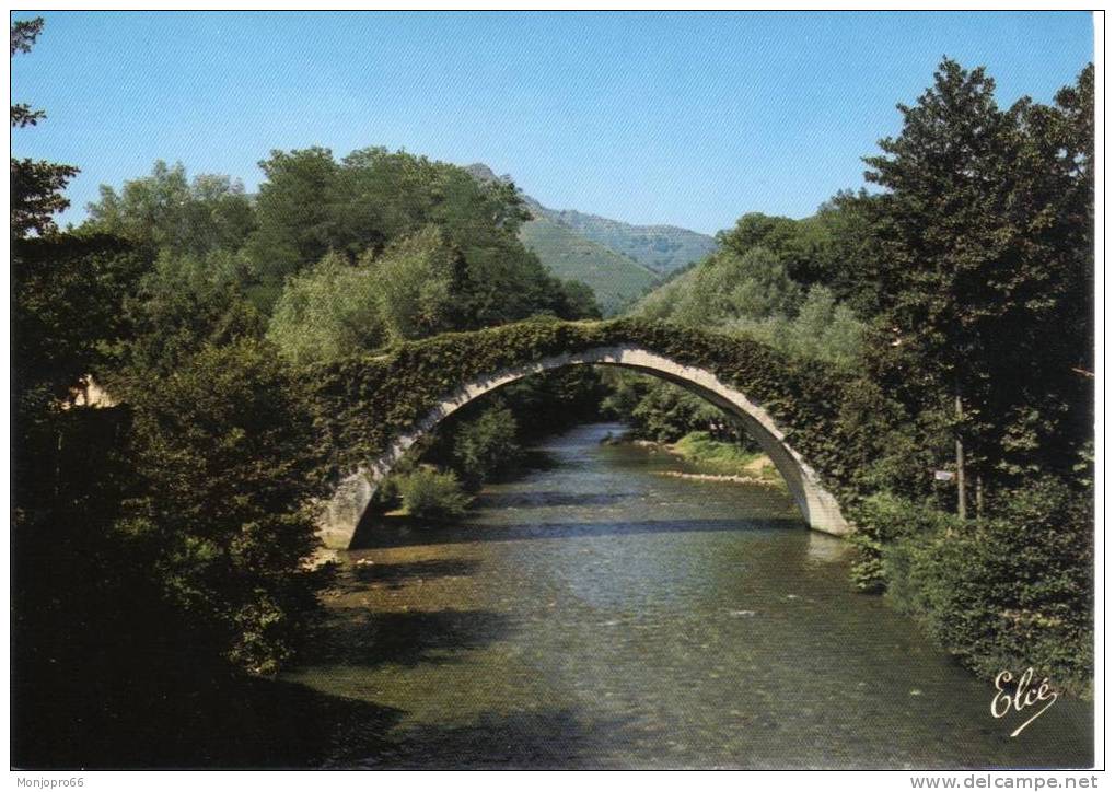 CPM De Saint Etienne De Baigorry   Le Vieux Pont Romain - Saint Etienne De Baigorry