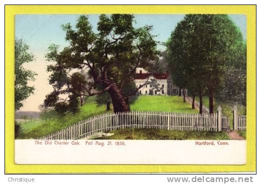 The Old Charter Oak, Fell Aug. 21, 1856, Hartford, Conn. 1900s - Hartford