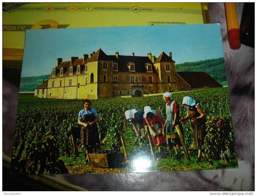 Vendanges Au Chateau De Clos Vougeot - Nuits Saint Georges