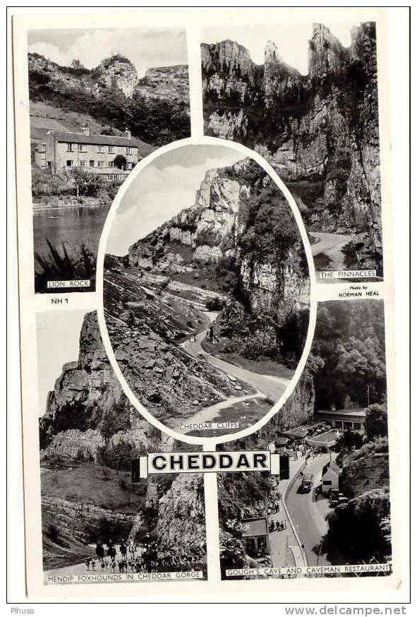 UK120  CHEDDAR : 5-picture Postcard - Cheddar