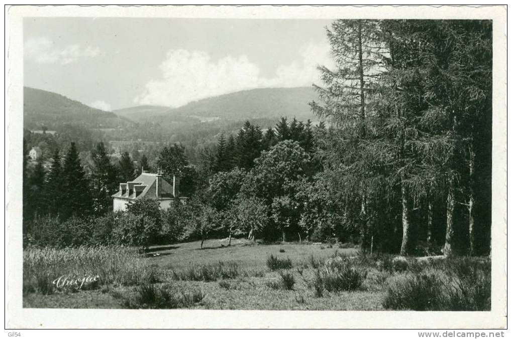 Meymac - Colonie De Vacances De La Feuillade     - Pk99 - Brive La Gaillarde