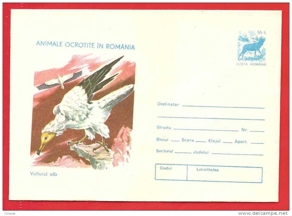 ROMANIA 1977 Postal Stationery Cover White Hawk - Autres & Non Classés