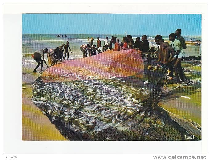 AFRIQUE EN COULEURS  -  Scène De Pêche  -  Fishing Scene -  N° 7361 - Non Classés