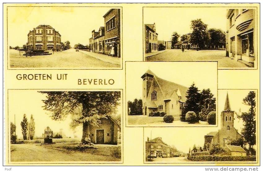 Beverlo : Groeten Uit...multivieuw ( Zie Beschrijving ) - Beringen