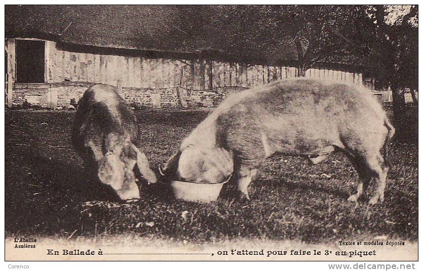 2909   COCHONS   Circulée 1914 - Pigs