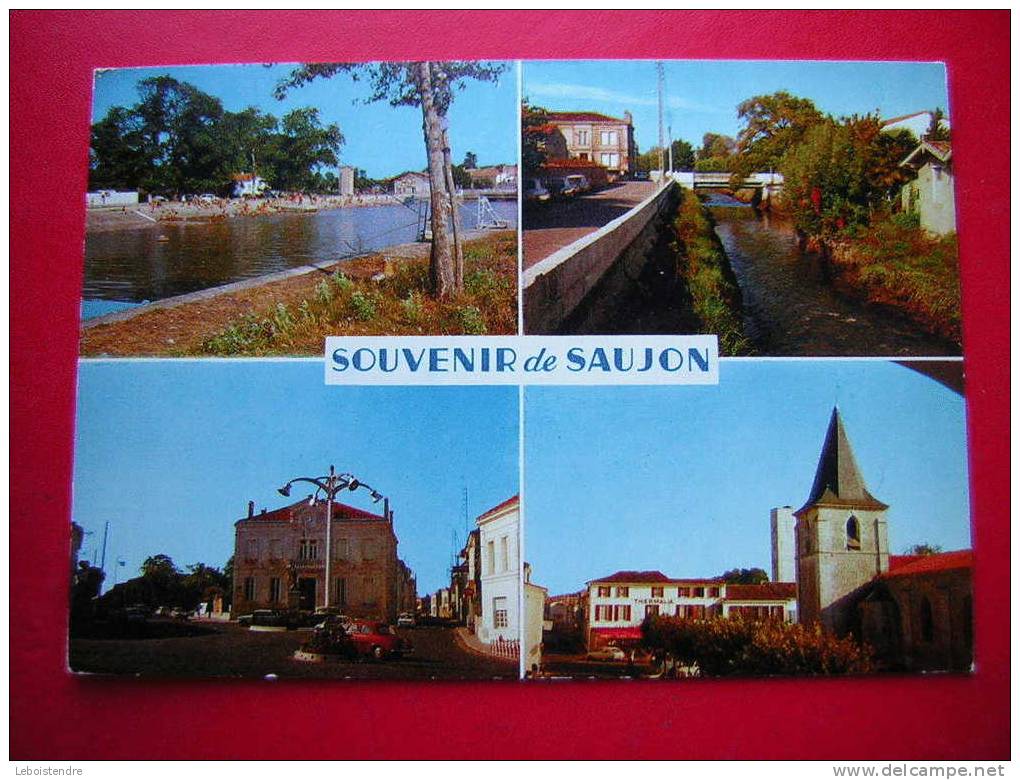 CPSM-17 CHARENTE MARITIME-SOUVENIR DE SAUJON-MULTI-VUES-PLAGE DE RIBEROUX-LES BORDS DE LA SEUDRE-LA MAIRIE -L'EGLISE - Saujon