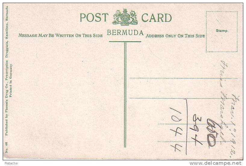 Bermudes Bermuda - A Bunch Of Easter Lilies - 1912 - Pub. By Phoenix Drug Co. - Écrite - Used - Bermudes