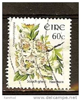 IRELAND 2004 Wild Flowers  - 60c. - Hawthorn  FU - Used Stamps