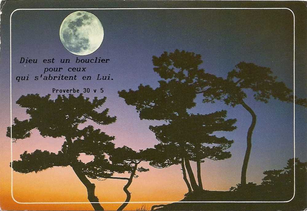 Citation Biblique : "Dieu Est Un Bouclier Pour Ceux Qui S'abritent En Lui" [Pins En Contre-jour - Lune] - Photo Nacivet - Tegenlichtkaarten, Hold To Light