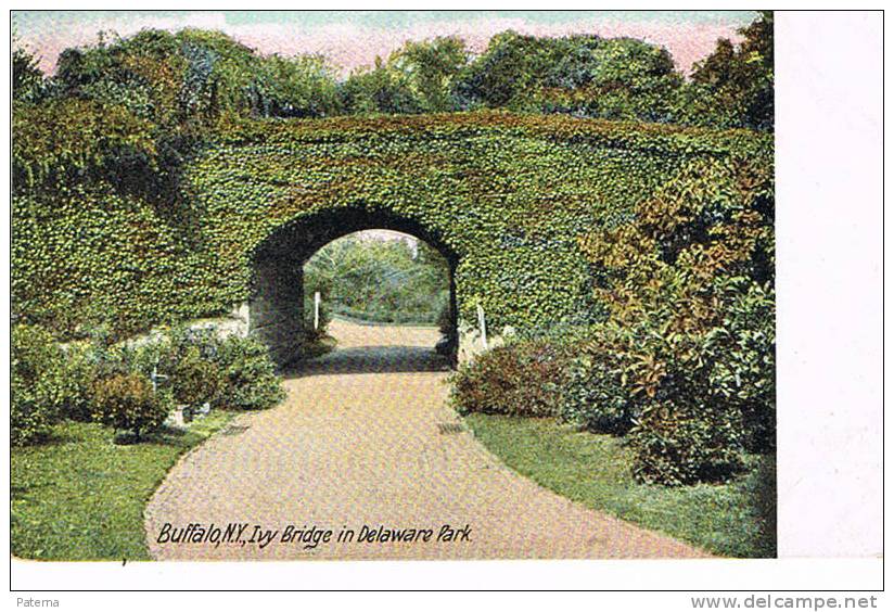 BUFFALO , PUENTE DEL PARQUE DELAWARE ( U.S.A.), Post Card. Carte Postale - Puentes