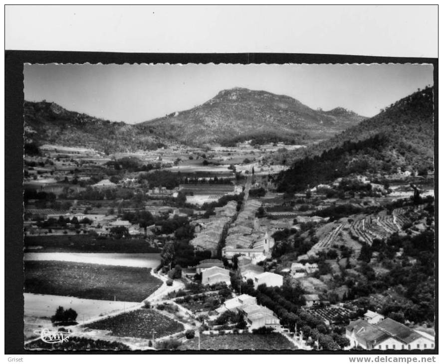 LA ROQUEBRUSSANNE-6428-- Vue Panoramique Aérienne -noir Et Blanc-années 50 - La Roquebrussanne