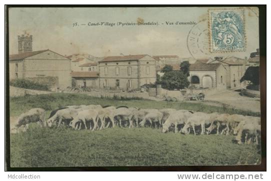 66 CANET EN ROUSSILLON /  Canet-village - Vue D'ensemble   /   Carte Couleur élevage - Canet En Roussillon