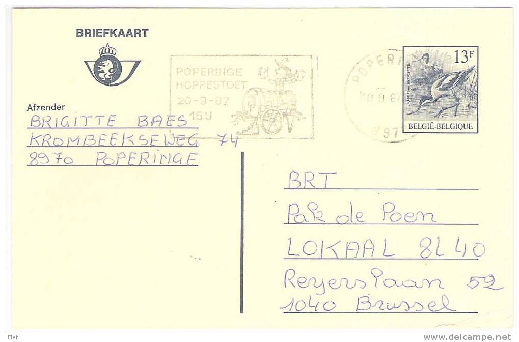 Flamme Illustrée De POPERINGE (Belgique / Belgie) Du 10.09.1987, Thème BIERE/ Bier Sur Briefkaart / Entier Postal; TB - Biere