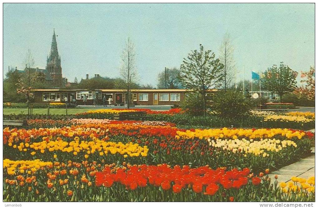 Britain United Kingdom - Springfields, Spalding Postcard [P660] - Sonstige & Ohne Zuordnung