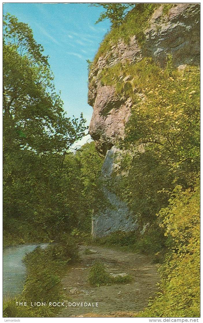 Britain United Kingdom - The Lion Rock, Dovedale 1960s Postcard [P667] - Derbyshire