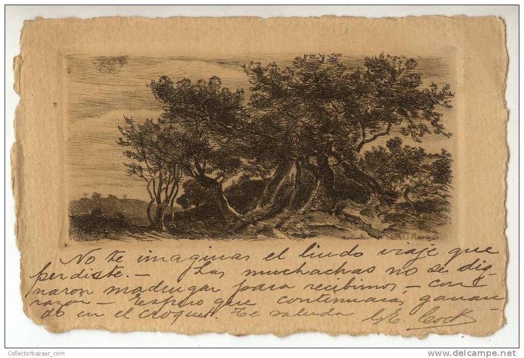 Artist Signed Xilography Vintage Ca1900 POSTCARD - Woods Trees Olive ?  Nature - Autres & Non Classés