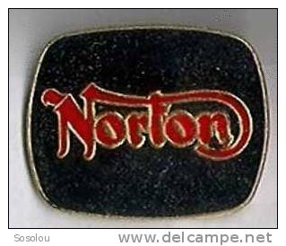 Norton, Le Logo - Informatique