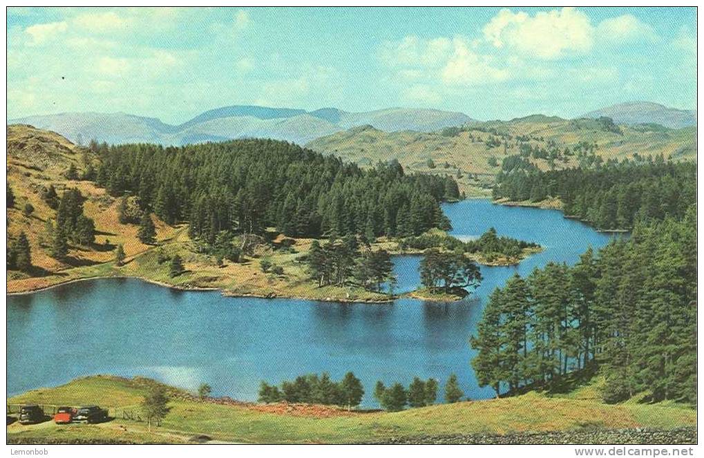 Britain United Kingdom - The English Lakes Tarn Hows Postcard [P672] - Autres & Non Classés