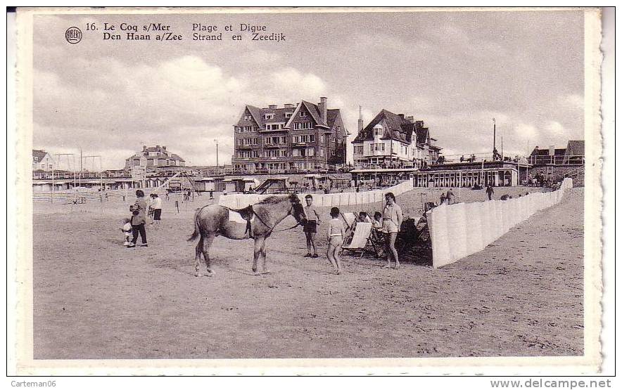 Belgique - Coq Sur Mer - Plage Et Digue - De Haan